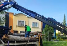 Gobierno de Morelia intensifica labores de limpieza de áreas verdes en distintos puntos de la ciudad