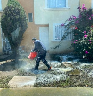 Refuerza Gobierno de Morelia acciones de fumigación en Hacienda Tiníjaro