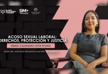 #Video | Acoso sexual laboral debe analizarse con perspectiva de género para garantizar el acceso a la justicia: jueza Emma Casandra León