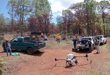 Drones reforestan las zonas más inaccesibles de Michoacán con programa Bio Renace