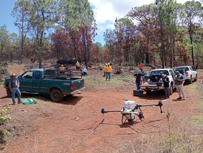drones semillas