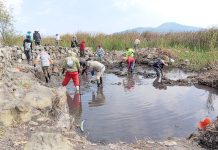 Con obras de conservación, Programa de Empleo Temporal blinda al lago de Pátzcuaro