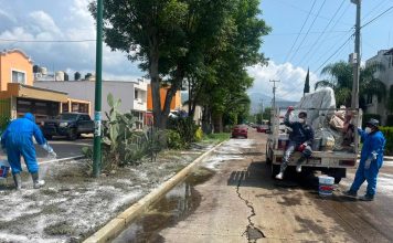 Gobierno de Morelia refuerza acciones preventivas contra el dengue