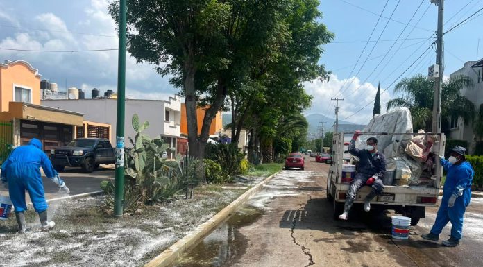 Gobierno de Morelia refuerza acciones preventivas contra el dengue