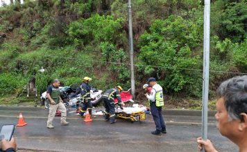 Tragedia en Tacámbaro, árbol aplasta a taxi; hay un muerto y tres heridos