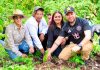 Se suma Reyes Galindo a acciones de reforestación en La Huacana