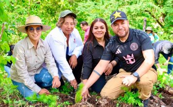 Se suma Reyes Galindo a acciones de reforestación en La Huacana