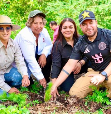Se suma Reyes Galindo a acciones de reforestación en La Huacana