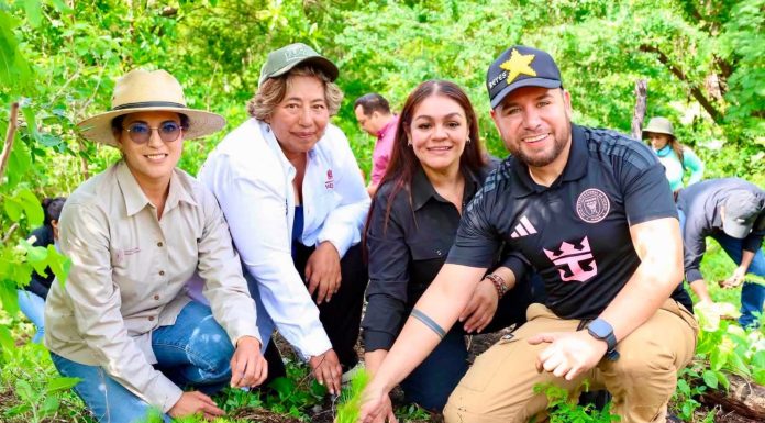 Se suma Reyes Galindo a acciones de reforestación en La Huacana
