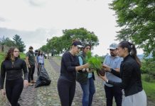 La diputada Sandra Arreola Ruiz encabezó una jornada de reforestación en la zona de Cerro Verde