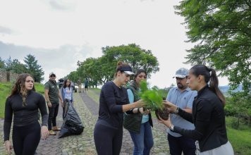 La diputada Sandra Arreola Ruiz encabezó una jornada de reforestación en la zona de Cerro Verde