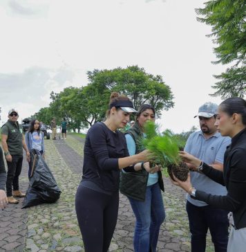 La diputada Sandra Arreola Ruiz encabezó una jornada de reforestación en la zona de Cerro Verde
