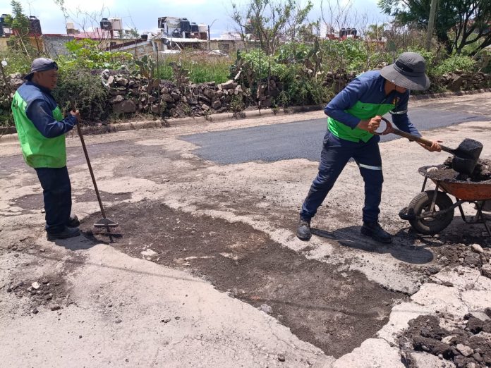 baches