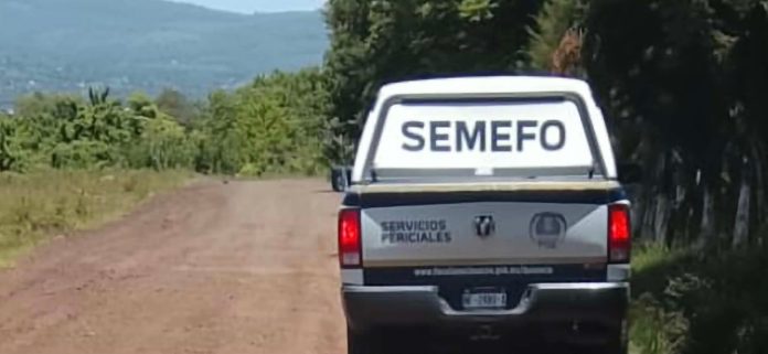 SEMEFO
