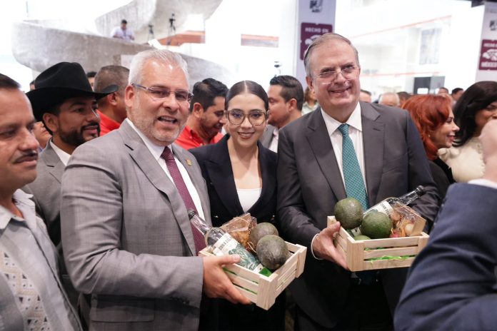 EBRARD BEDOLLA