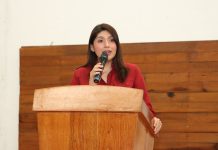 Michoacán, primer lugar nacional con menor impunidad en feminicidio: Alejandra Anguiano