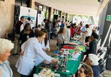Celebra IMSS Semana de la Persona Mayor con la estrategia Plenitud Activa 2026