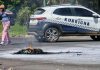 #Seguimiento #Videos | Comuneros de Arantepacua se enfrentan con policías durante bloqueo en Morelia