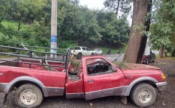 Pino colapsa y aplasta camioneta en la Tacámbaro-Pátzcuaro; hay 4 heridos