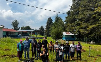Alfonso Martínez acompaña a vecinas y vecinos de Atécuaro en jornada de reforestación
