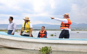 Avanza retiro de lirio en Presa Malpaís de Queréndaro; 500 hectáreas serán limpiadas: Bedolla