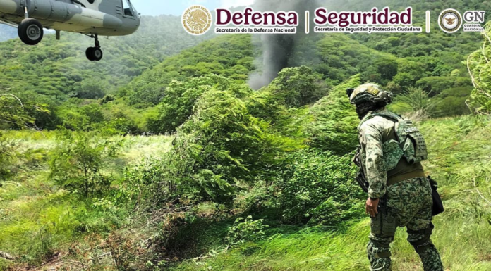 #Videos | Autoridades inhabilitan tres laboratorios clandestinos en la zona serrana de Guerrero