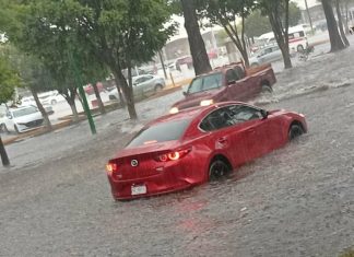 #Video ⛈️ Tormenta eléctrica provoca inundaciones, caída de árboles y apagones en Morelia