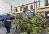 #Video | Tras intensa lluvia, reportan caída de árboles, encharcamientos y hasta carros varados; atiende la contingencia el Gobierno de Morelia