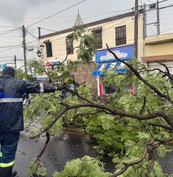 #Video | Tras intensa lluvia, reportan caída de árboles, encharcamientos y hasta carros varados; atiende la contingencia el Gobierno de Morelia