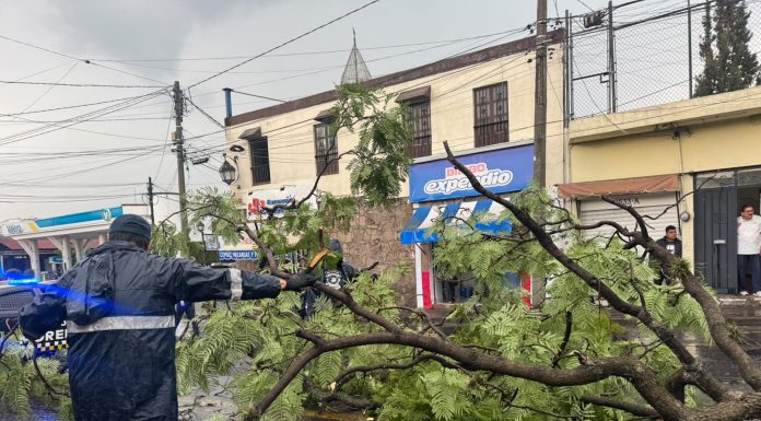 #Video | Tras intensa lluvia, reportan caída de árboles, encharcamientos y hasta carros varados; atiende la contingencia el Gobierno de Morelia