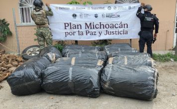 SSP y Marina aseguran camioneta con casi media tonelada de marihuana en Lázaro Cárdenas