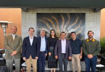 Grupo Parlamentario del PVEM se reúne con Torres Piña para trazar ruta de trabajo rumbo a 2027