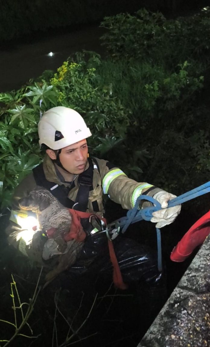 BOMBEROS