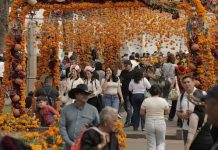 Desfiles, ferias y altares, prepárate para vivir la Noche de Muertos en Michoacán