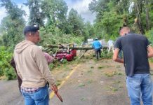 Árbol cae sobre automóvil en la carretera Uruapan-Pátzcuaro; conductor resulta lesionado