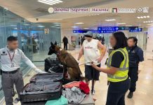ANAM y GN aseguran cocaína en la aduana del aeropuerto de Cancún, Quintana Roo