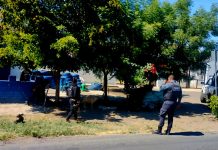 Delincuentes disparan contra policías y en otro ataque balean a 2 jóvenes y a una bebé, en Buenavista