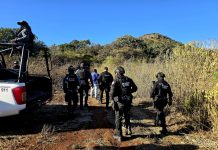 Reporte de balacera entre delincuentes desata operativo interinstitucional, en la periferia de Apatzingán