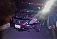 Auto choca contra semoviente en la autopista Siglo XXI