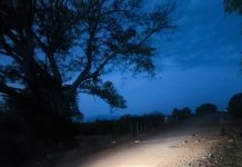 Autoridades desactivan minas abandonadas por criminales en carretera de Loma de Los Hoyos