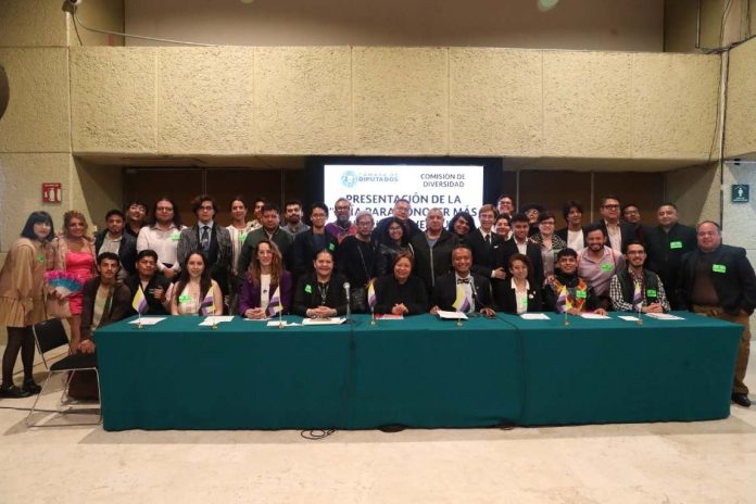camara de diputados-compressed