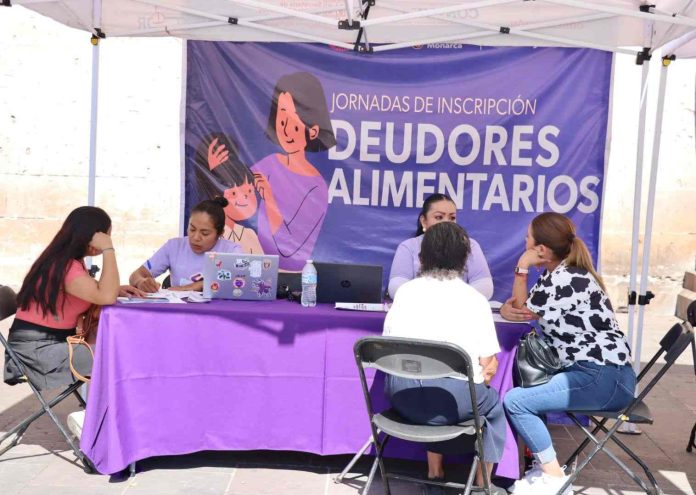 deudor alimentario-compressed