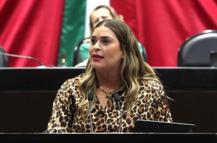 diputada-compressed