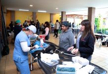 Llega jornada gratuita de esterilización animal a comunidad de autogobierno en Los Reyes: SSM