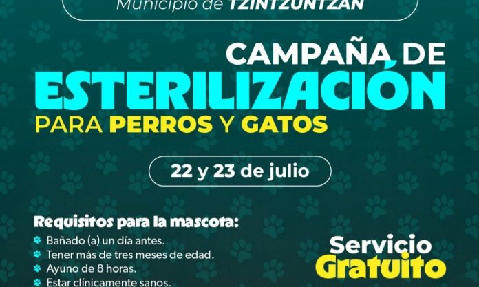 esterilización5-compressed