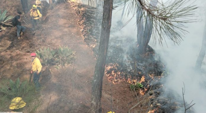 incendio2