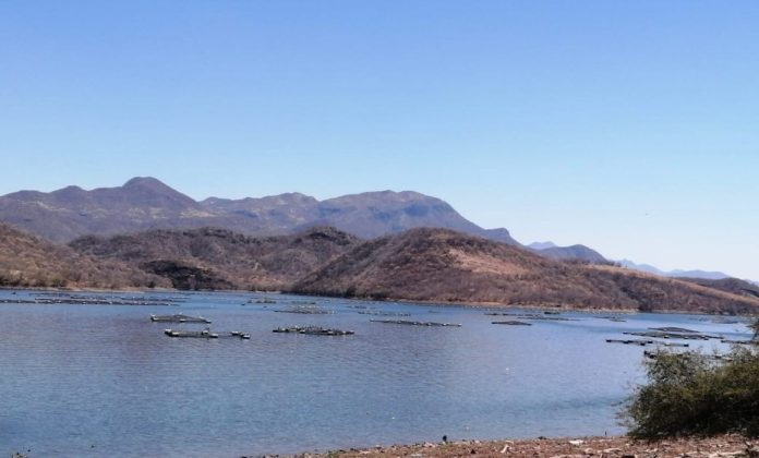 lago