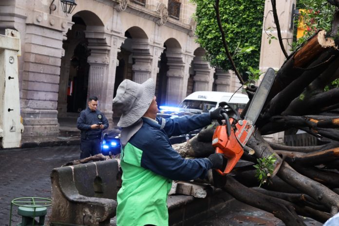 morelia10