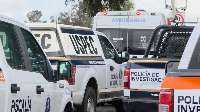 policia3-compressed