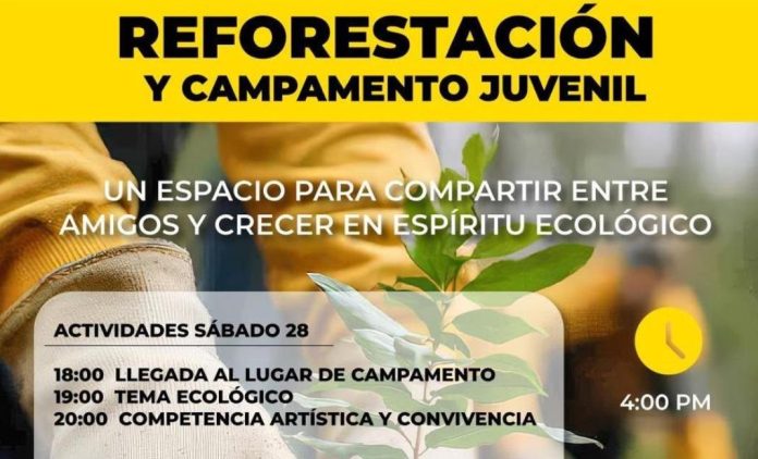 reforestación2-compressed